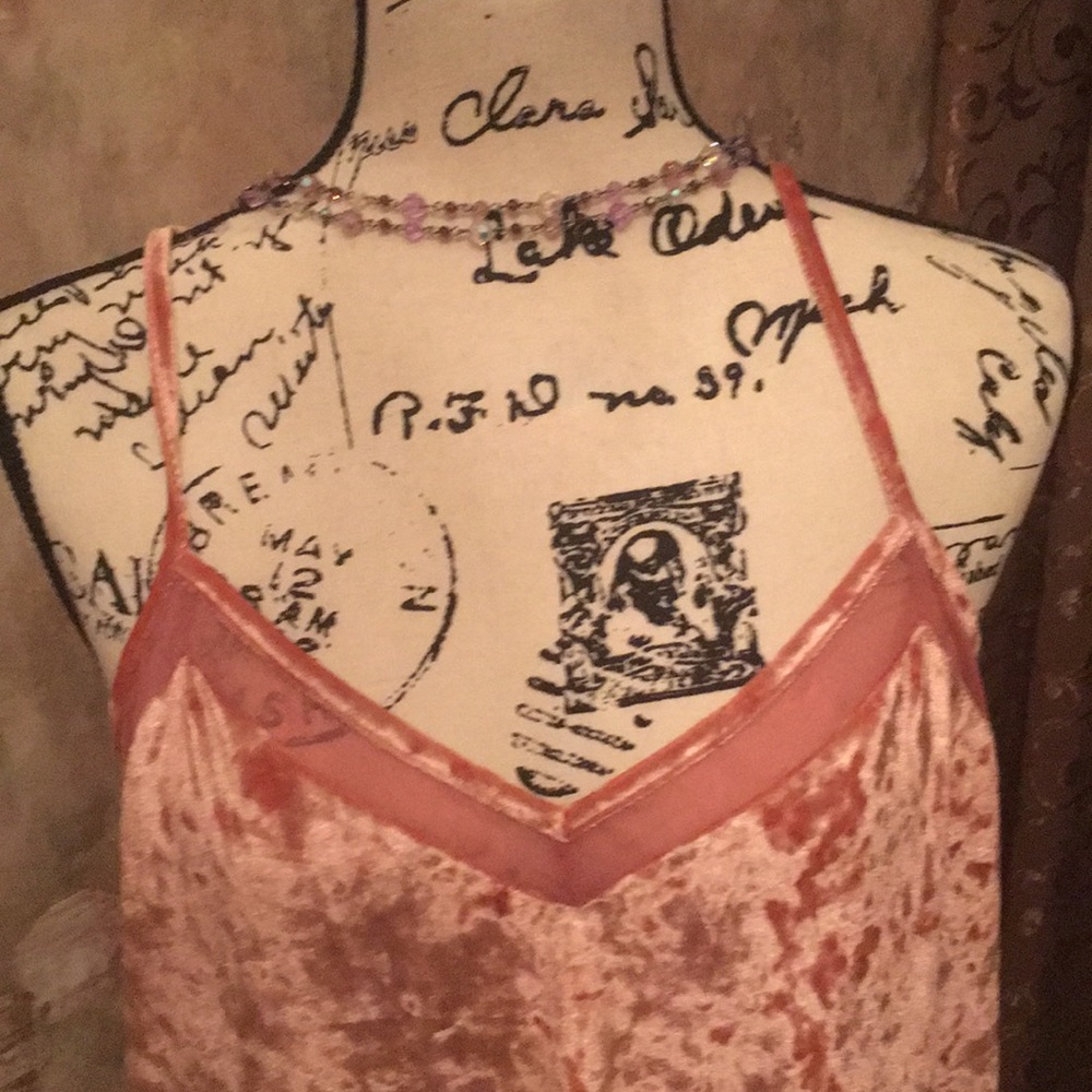 💕NEW WITH TAGS Chelsea Rose velvet Camisole - Picture 4 of 4